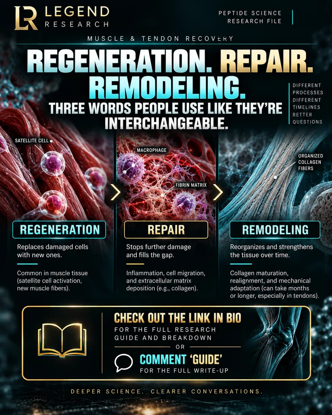 Regeneration. Repair. Remodeling.