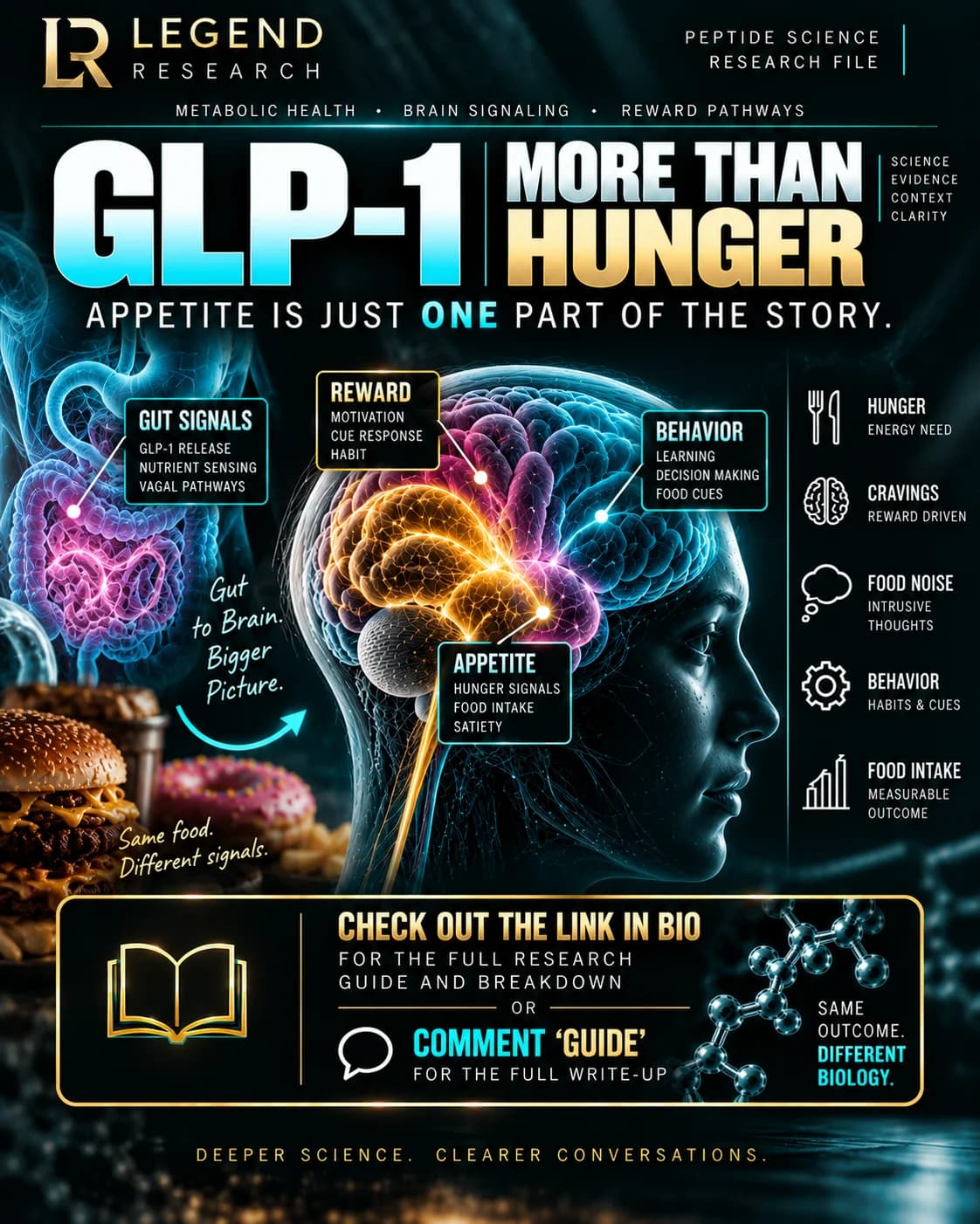 GLP-1: More Than Hunger
