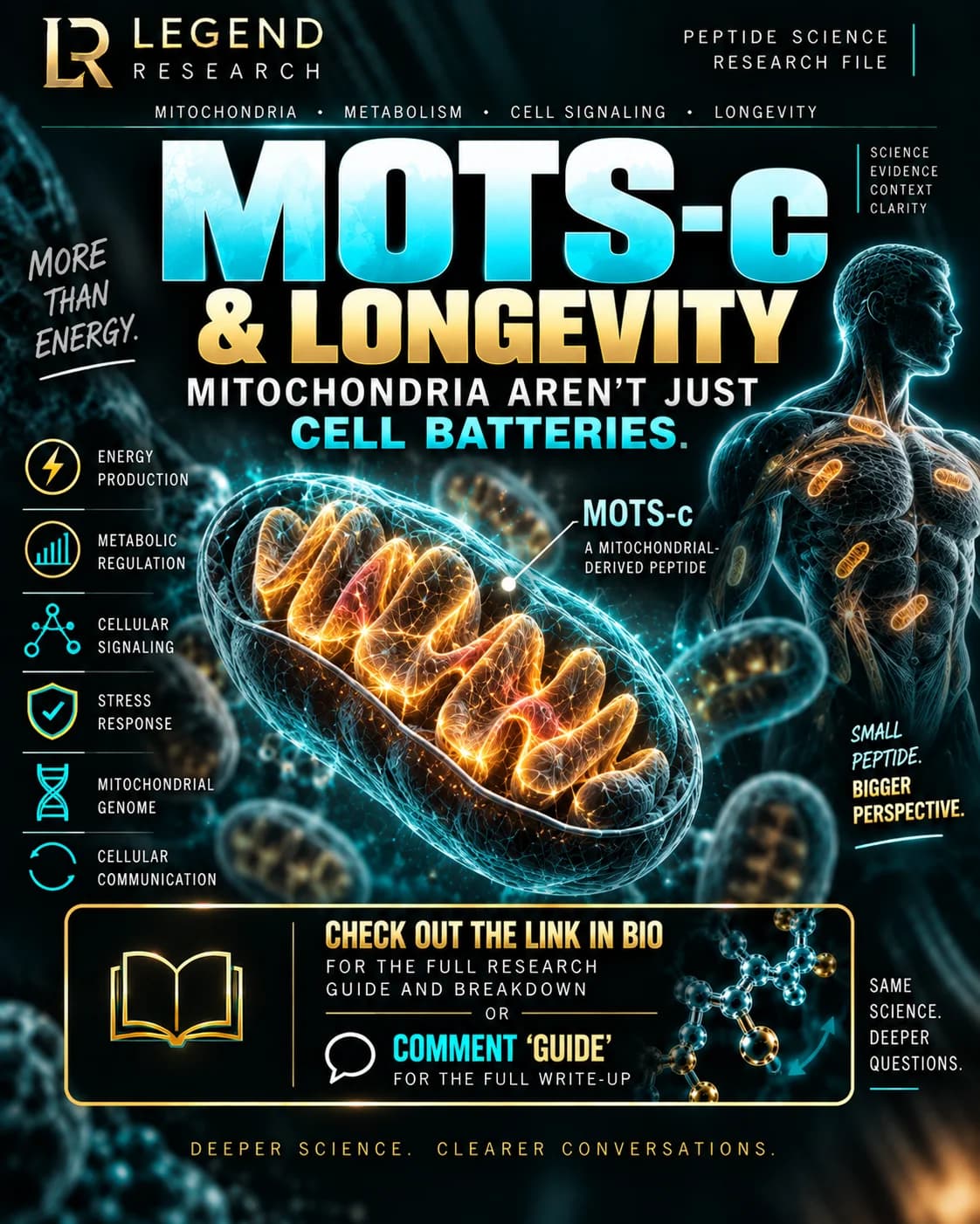 MOTS-c & Longevity: Mitochondria Aren’t Just Cell Batteries