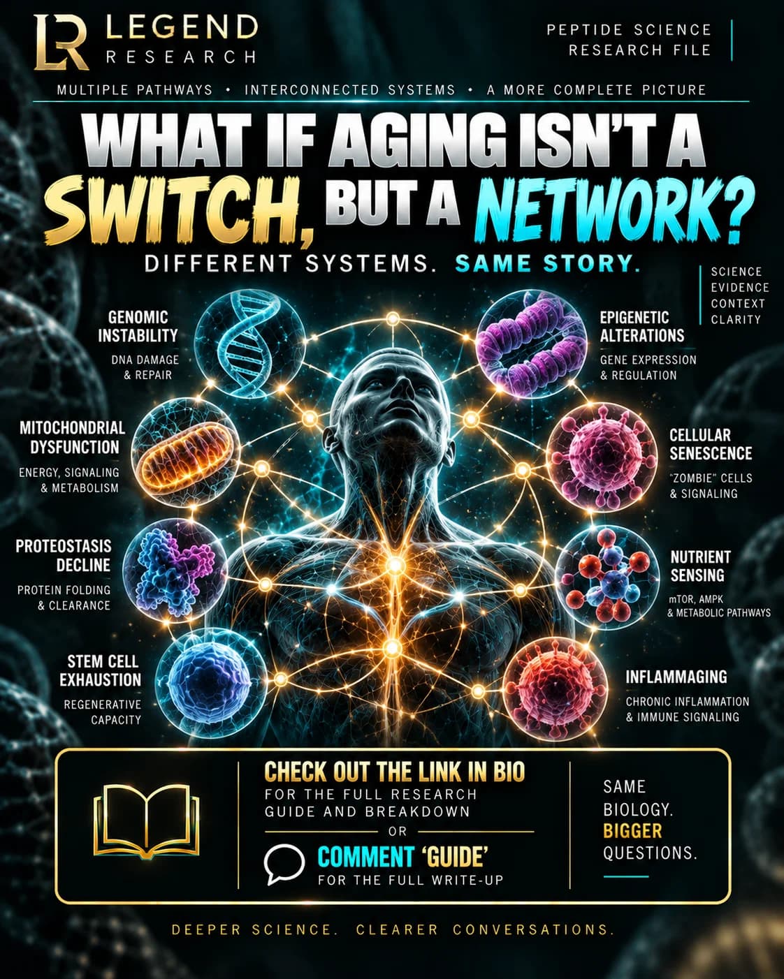 There May Be No Single Aging Switch